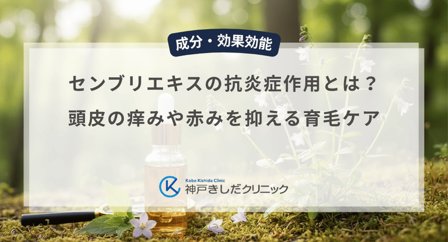 センブリエキスの抗炎症作用とは？頭皮の痒みや赤みを抑える育毛ケア