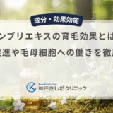 センブリエキスの育毛効果とは？血行促進や毛母細胞への働きを徹底解説