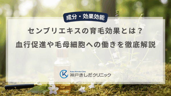 センブリエキスの育毛効果とは？血行促進や毛母細胞への働きを徹底解説