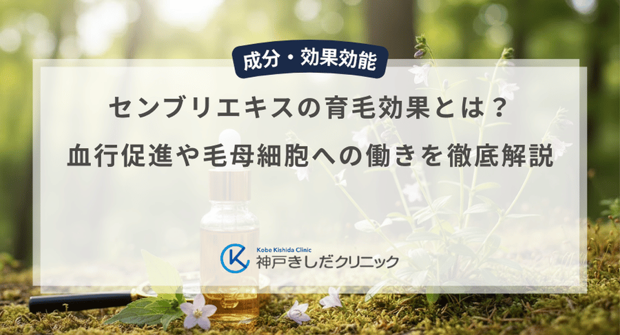 センブリエキスの育毛効果とは？血行促進や毛母細胞への働きを徹底解説
