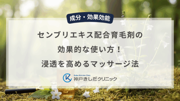 センブリエキス配合育毛剤の効果的な使い方！浸透を高めるマッサージ法