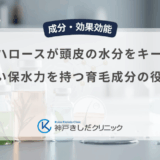 トレハロースが頭皮の水分をキープ？高い保水力を持つ育毛成分の役割
