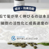 亜鉛で髪が早く伸びるのは本当？毛母細胞の活性化と成長速度の関係