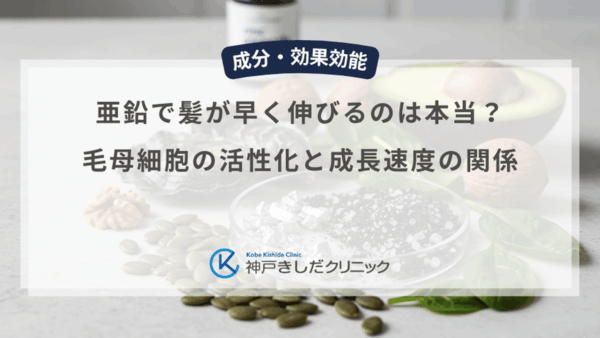 亜鉛で髪が早く伸びるのは本当？毛母細胞の活性化と成長速度の関係