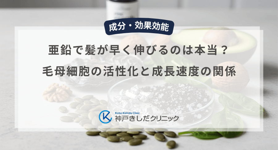 亜鉛で髪が早く伸びるのは本当?毛母細胞の活性化と成長速度の関係
