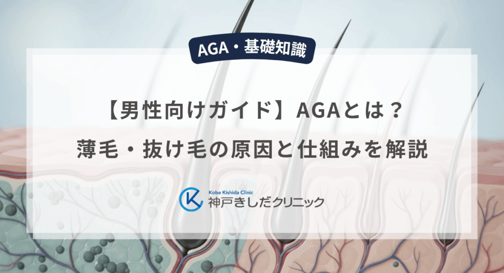 AGAとは？薄毛・抜け毛の原因と仕組みを解説【男性向けガイド】