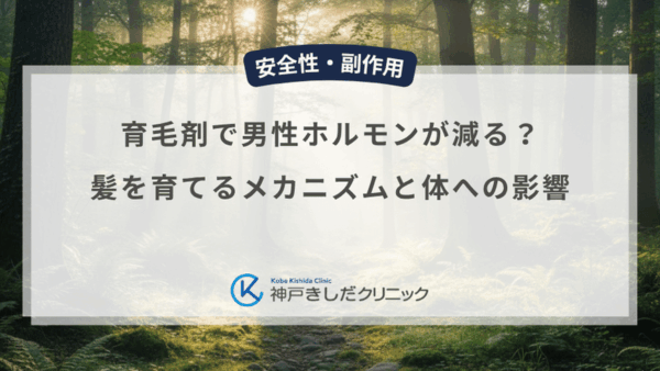 育毛剤で男性ホルモンが減る？髪を育てるメカニズムと体への影響