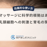 頭皮マッサージに科学的根拠はある？毛乳頭細胞への刺激と育毛の関連