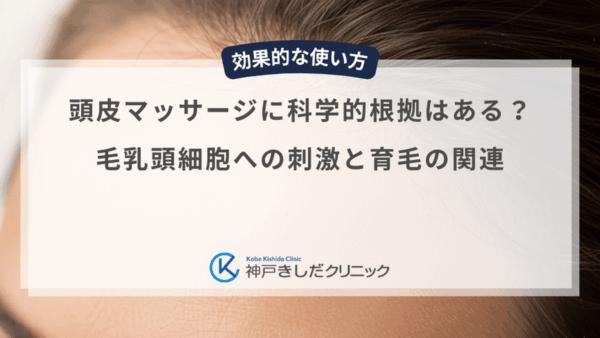 頭皮マッサージに科学的根拠はある？毛乳頭細胞への刺激と育毛の関連