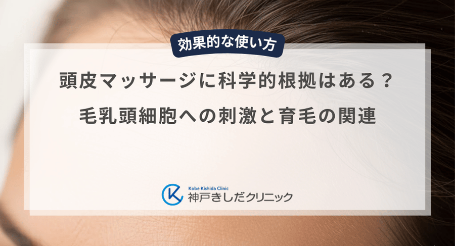 頭皮マッサージに科学的根拠はある？毛乳頭細胞への刺激と育毛の関連