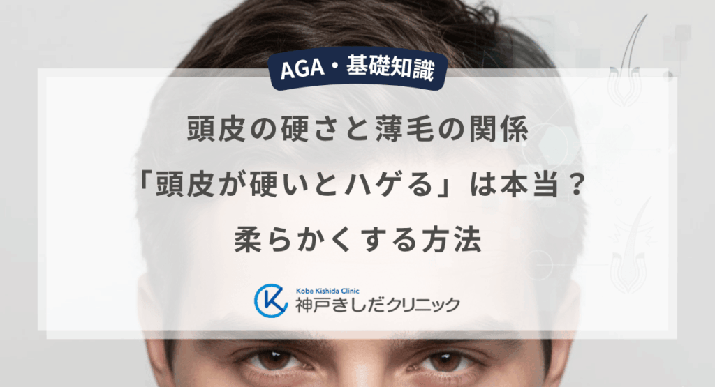 頭皮の硬さと薄毛の関係|「頭皮が硬いとハゲる」は本当?柔らかくする方法