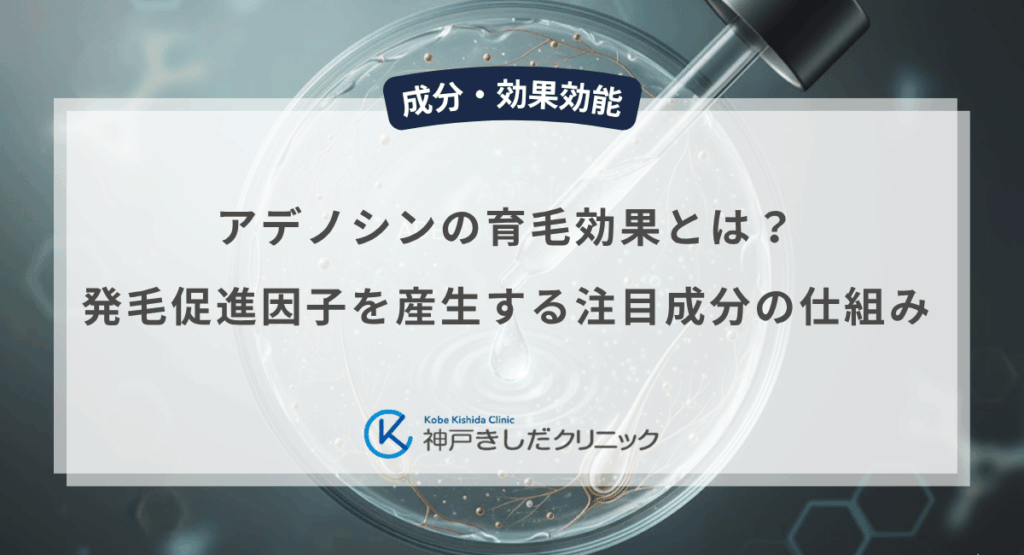 アデノシンの育毛効果とは?発毛促進因子を産生する注目成分の仕組みを解説