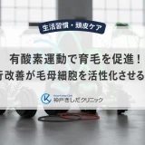 有酸素運動で育毛を促進！血行改善が毛母細胞を活性化させる理由