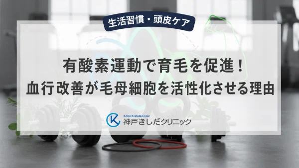 有酸素運動で育毛を促進！血行改善が毛母細胞を活性化させる理由