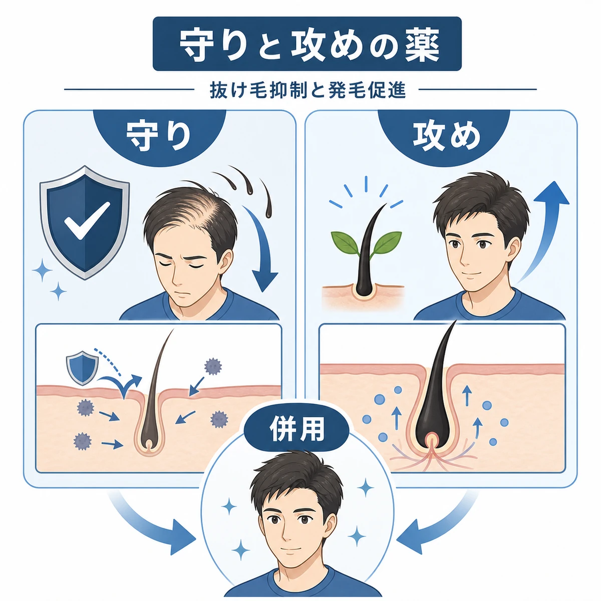 抜け毛を抑える薬と発毛を促す薬の働きの違いを比較した医療イラスト