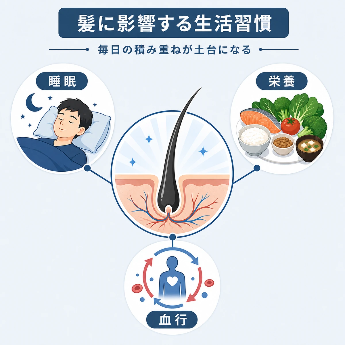 髪の健康に関わる生活習慣のつながりを描いた医療イラスト