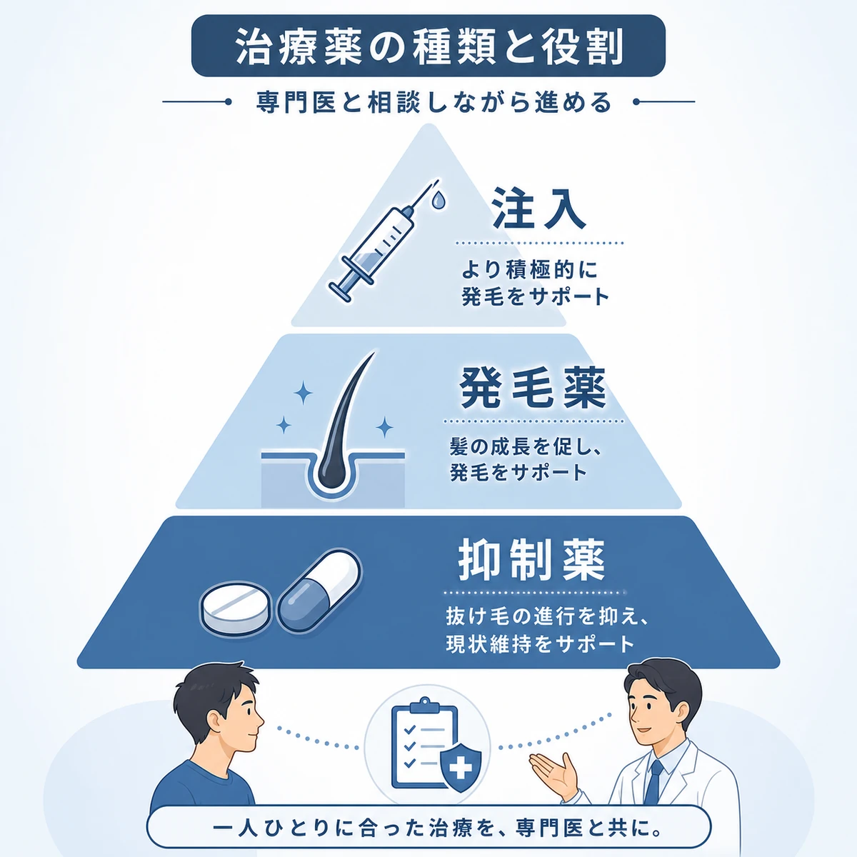 AGA治療薬の種類と役割を段階的に表した医療イラスト