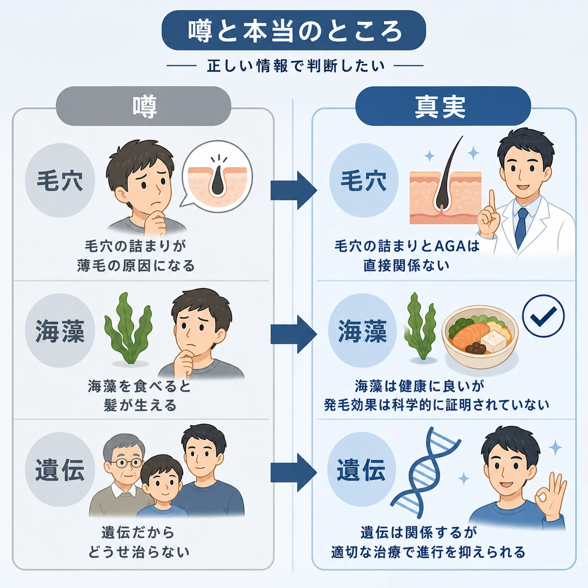 AGAにまつわる噂と医学的な事実を見比べた医療イラスト