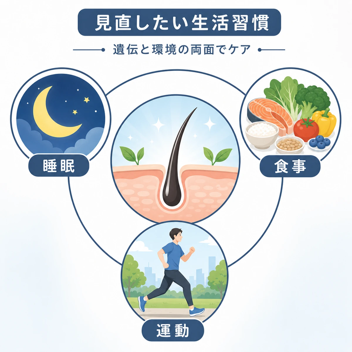 薄毛リスクを下げるために見直したい生活習慣をまとめた医療イラスト