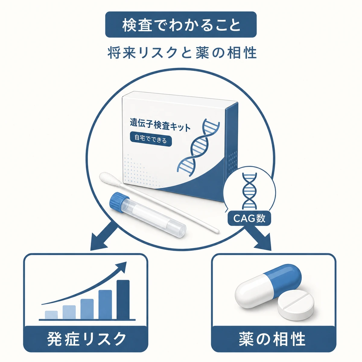 AGA遺伝子検査で発症リスクと治療薬の相性がわかる仕組みを表した医療イラスト