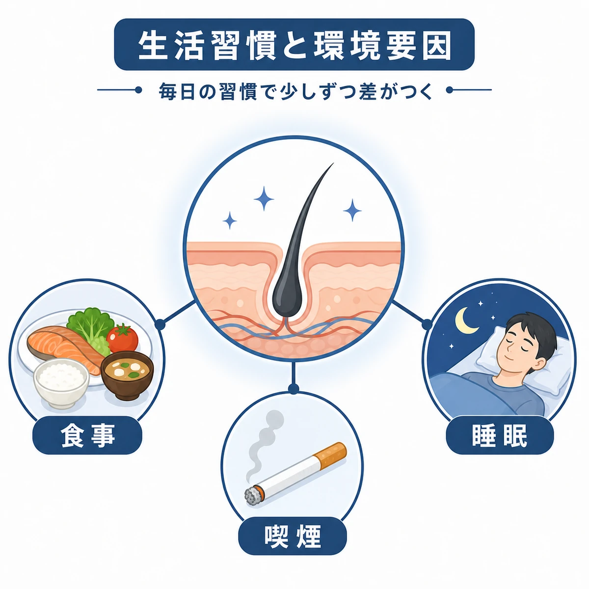 食事や睡眠などの生活習慣が頭皮と髪に与える影響を表した医療イラスト