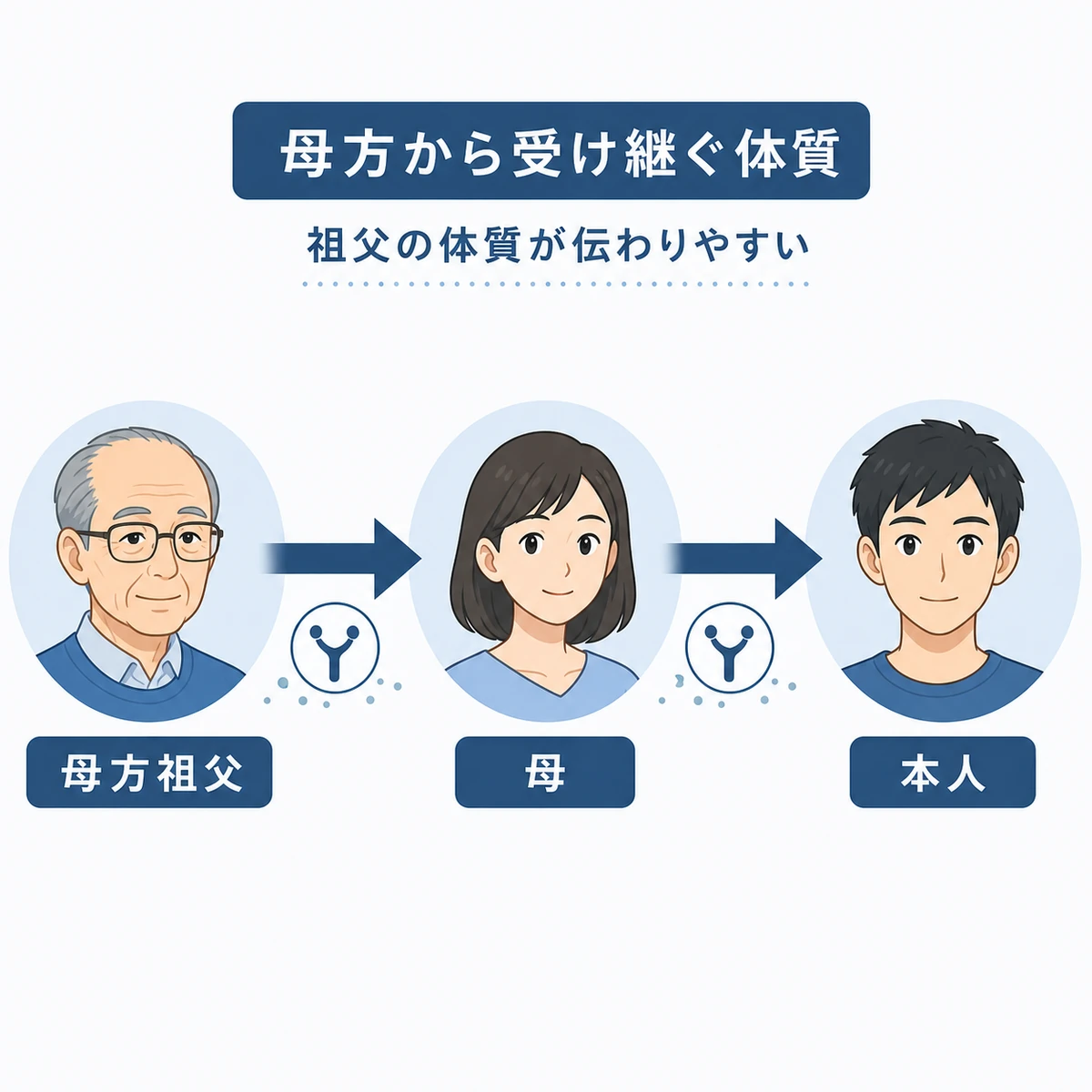 母方の祖父から母を通じて本人へ薄毛の体質が受け継がれる流れを表した医療イラスト
