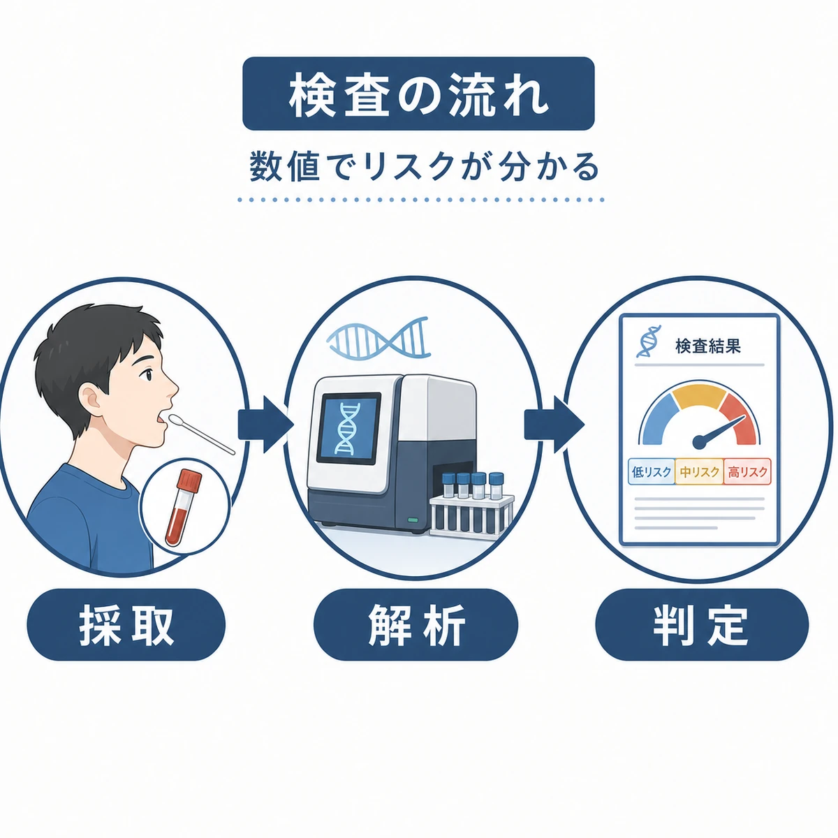 採取から解析を経てリスクを判定する遺伝子検査の流れを表した医療イラスト