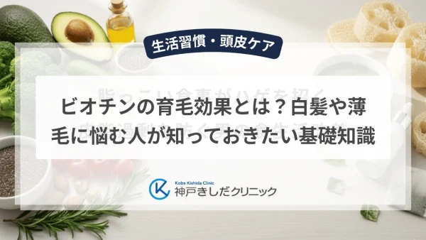 ビオチンの育毛効果とは？白髪や薄毛に悩む人が知っておきたい基礎知識