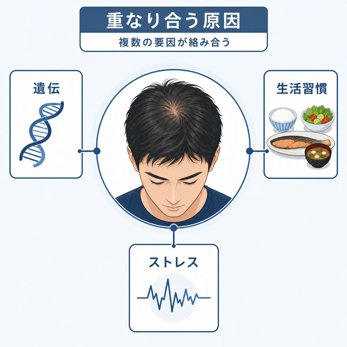 若い世代の薄毛に複数の原因が関わる相関図