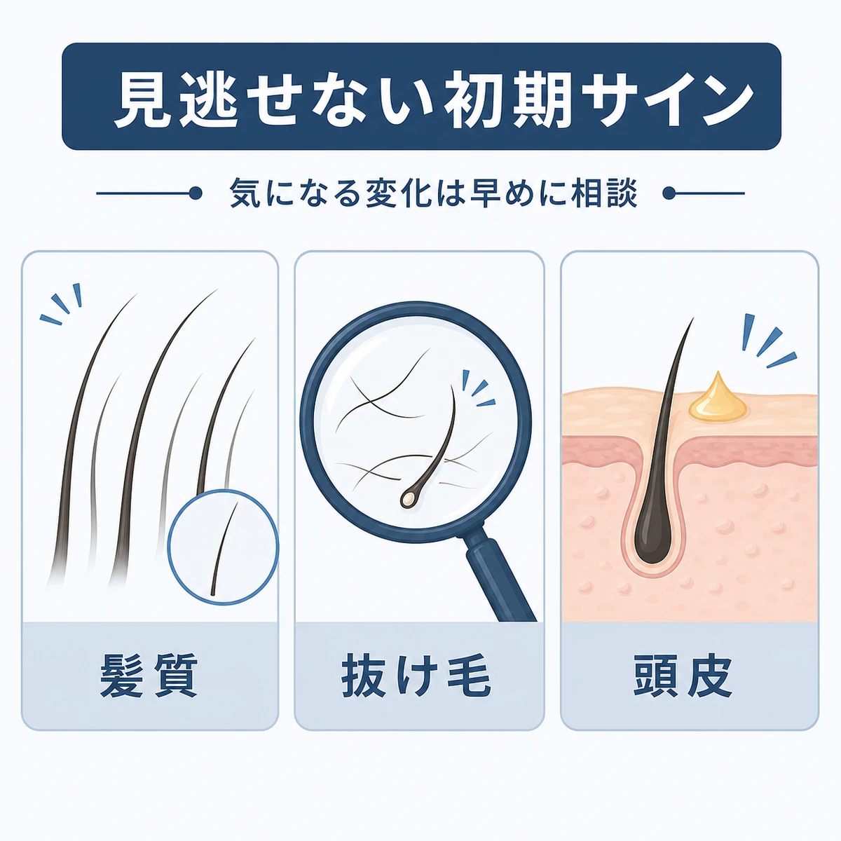 髪質の変化や抜け毛など薄毛の初期サインを3つに分けた医療イラスト