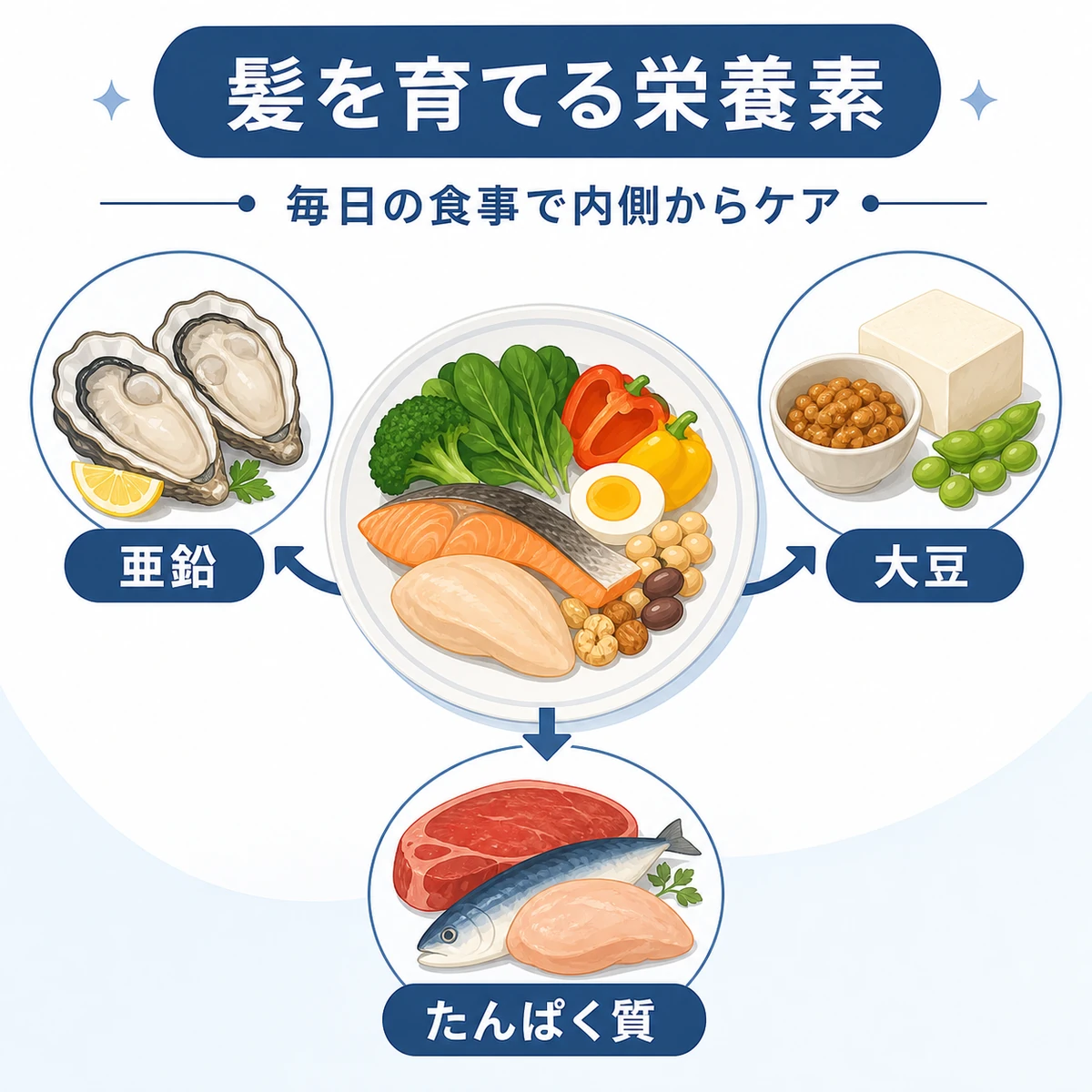 亜鉛や大豆など髪に必要な栄養素と食材をまとめた医療イラスト