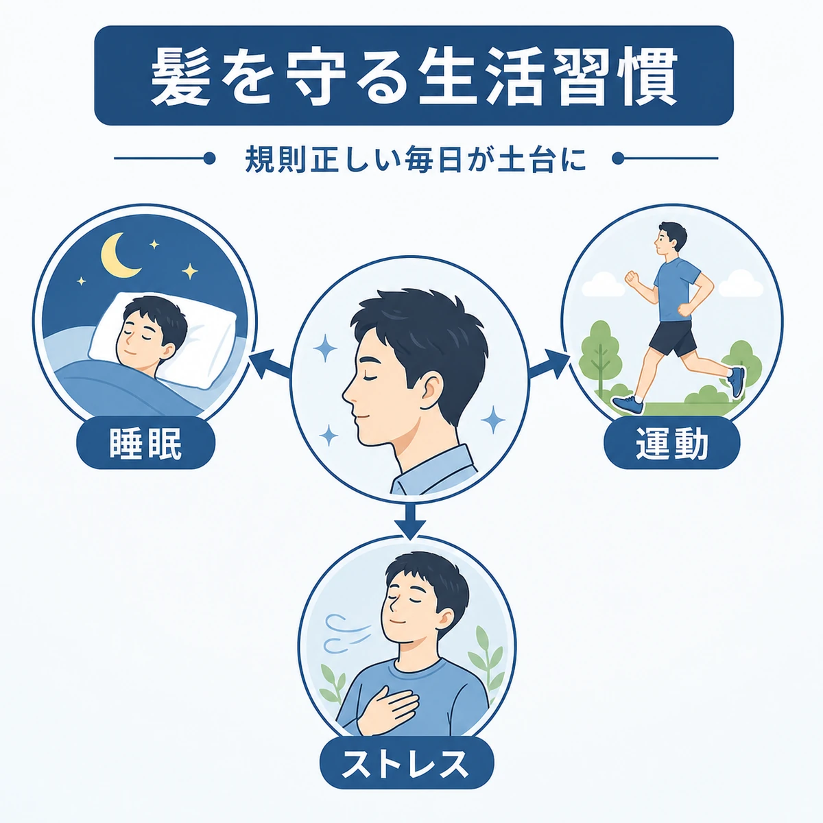 睡眠や運動などヘアサイクルを整える生活習慣の関係を示した医療イラスト