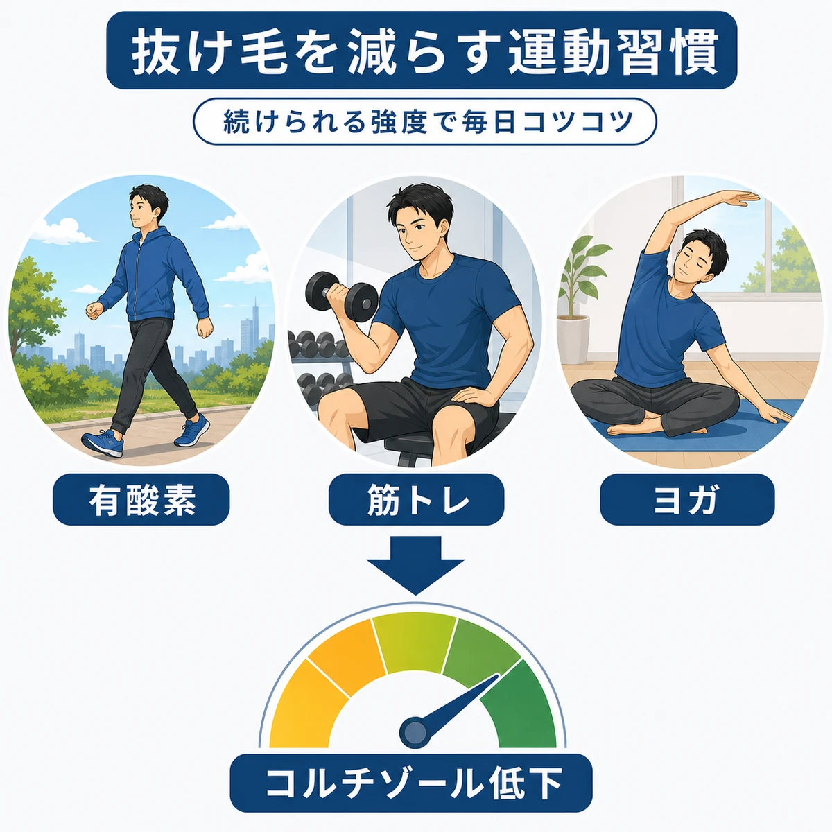 運動習慣でコルチゾールを下げる方法を表した医療イラスト