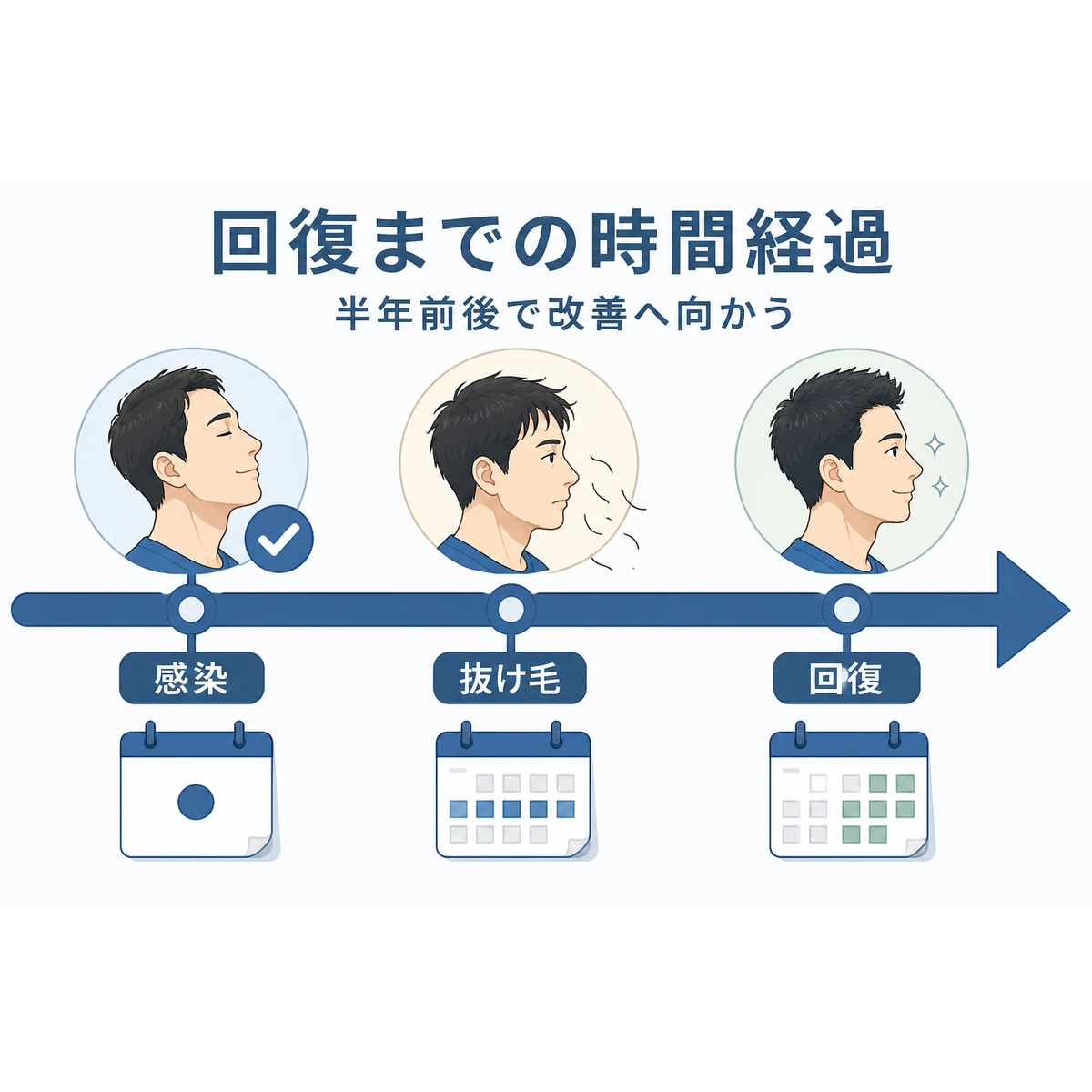 コロナ感染から抜け毛のピークを経て髪が回復していく時間経過を表した医療イラスト