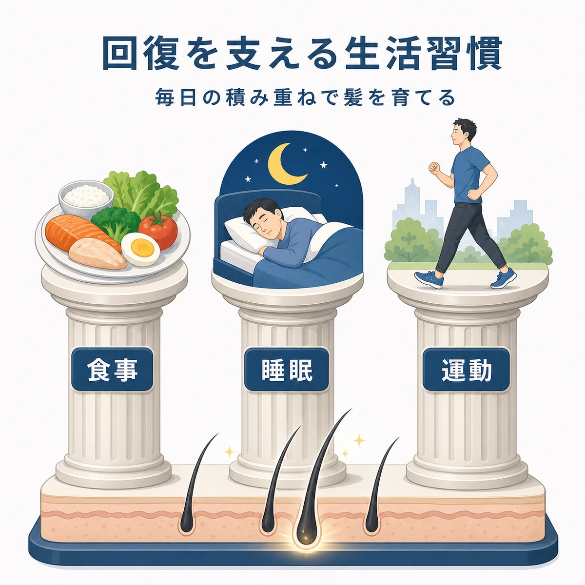食事と睡眠と運動が髪の回復を支える生活習慣を表した医療イラスト