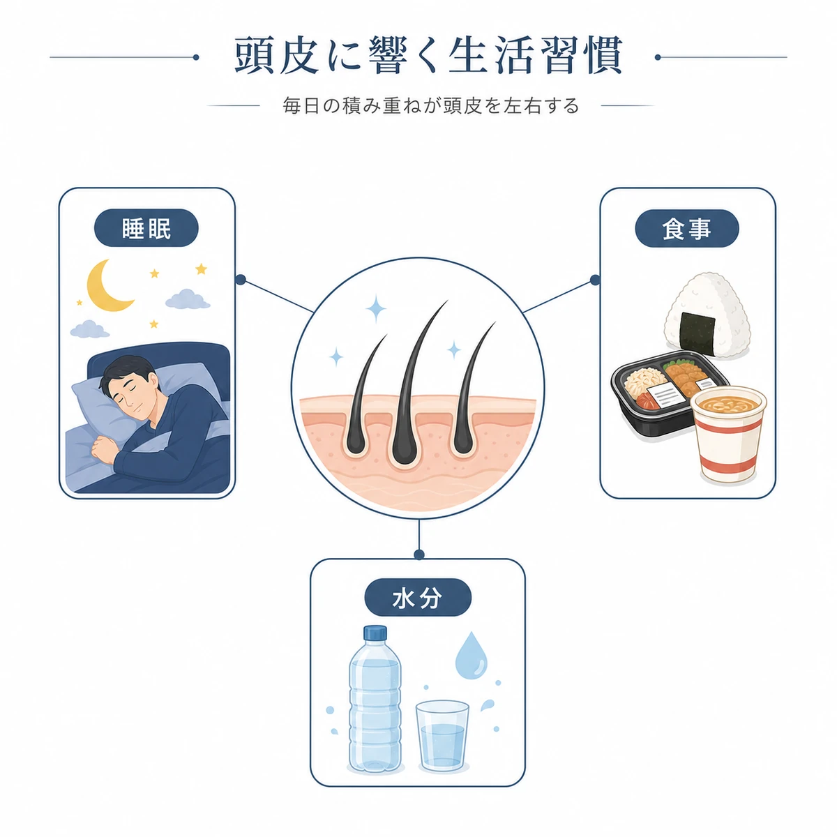 睡眠・食事・水分など頭皮環境に関わる生活習慣を分類した医療イラスト