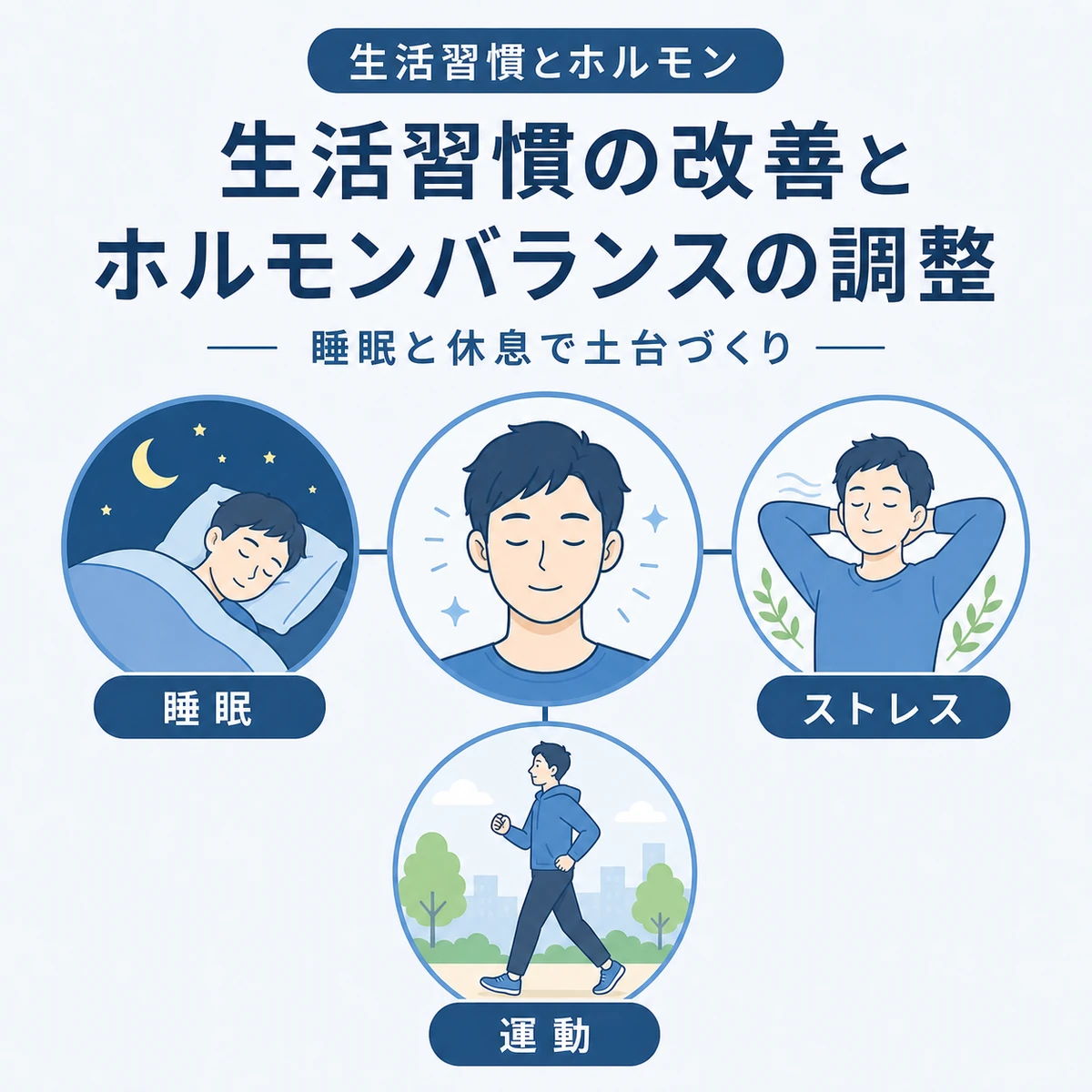 睡眠やストレス管理や運動がホルモンバランスを支える関係を表した医療イラスト