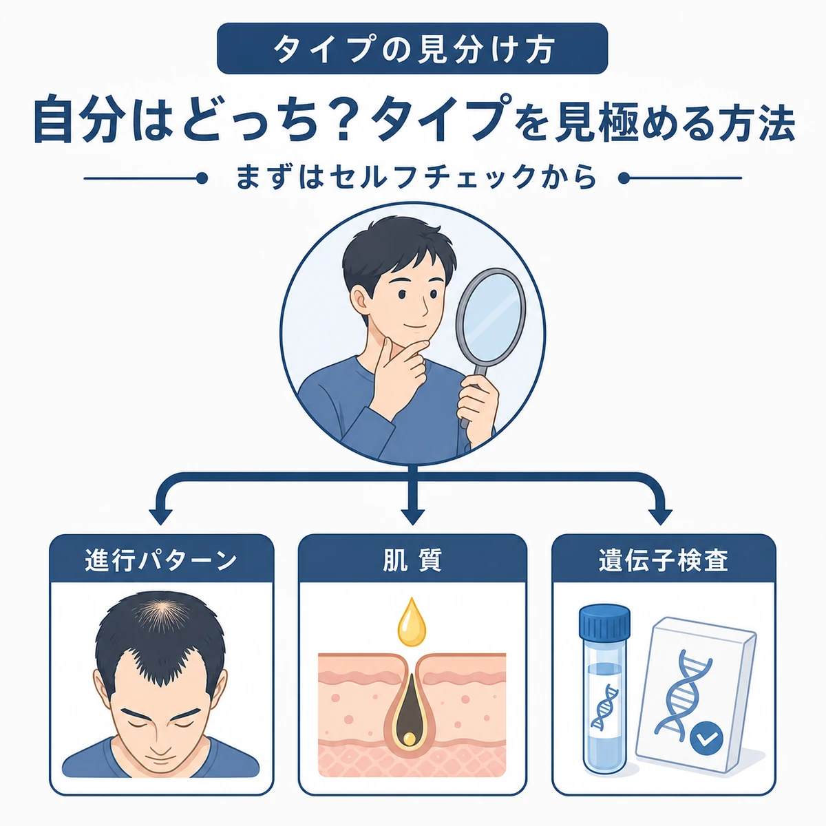 薄毛のタイプを見極める3つの確認方法を描いた医療イラスト