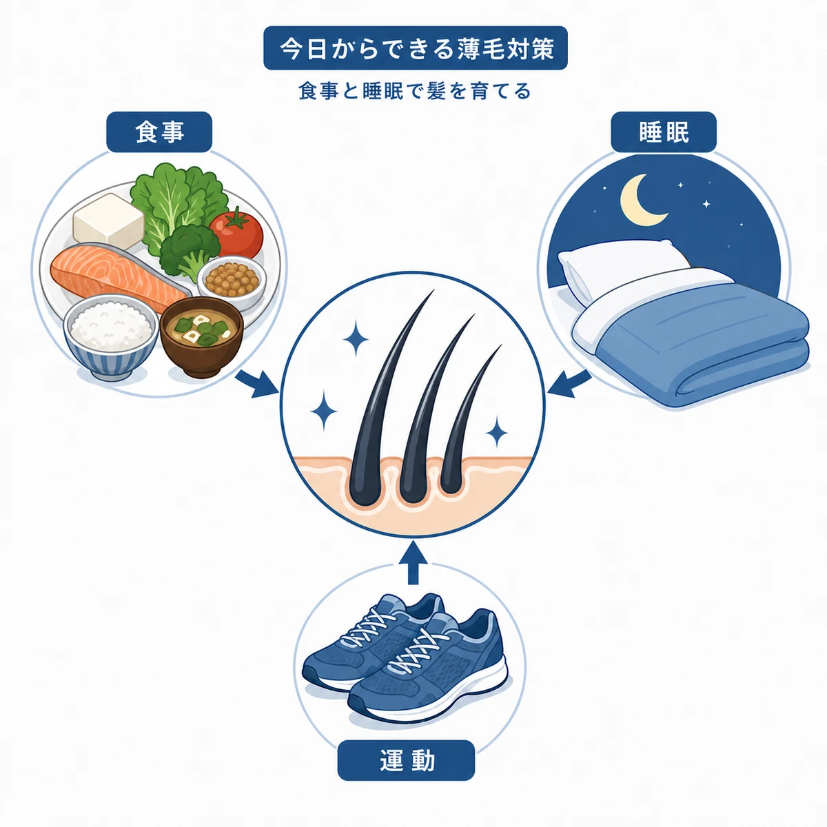 食事や睡眠、運動で髪を育てる生活習慣を表した医療イラスト