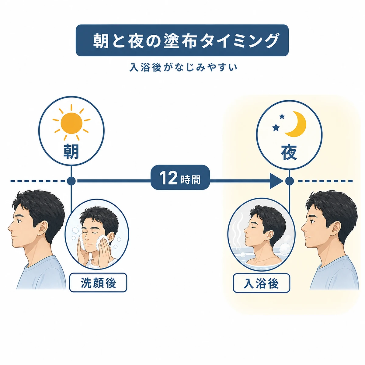 育毛剤を塗る朝と夜のタイミングと12時間間隔を表したタイムラインイラスト