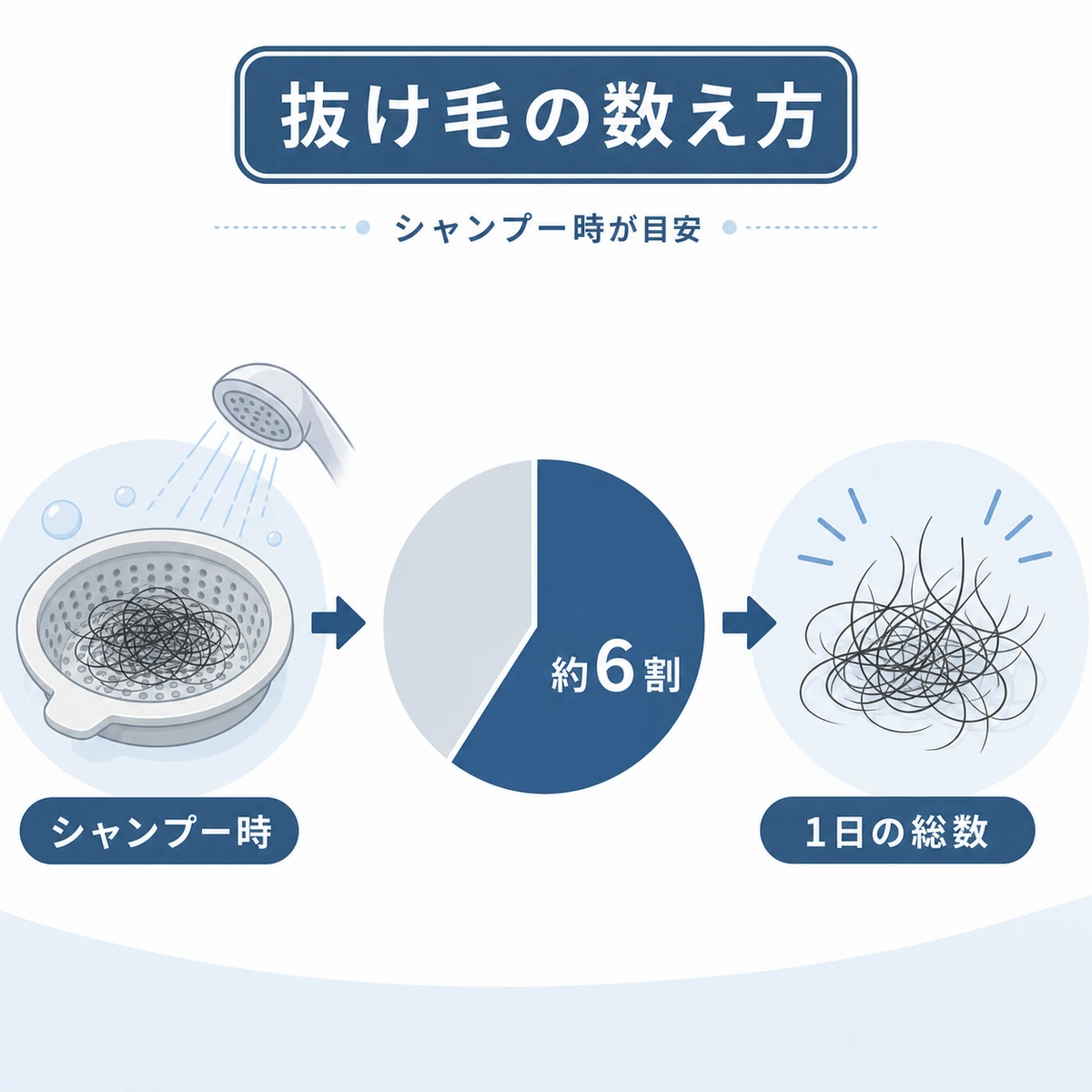シャンプー時の本数から1日の抜け毛量を見積もる方法を表した医療イラスト
