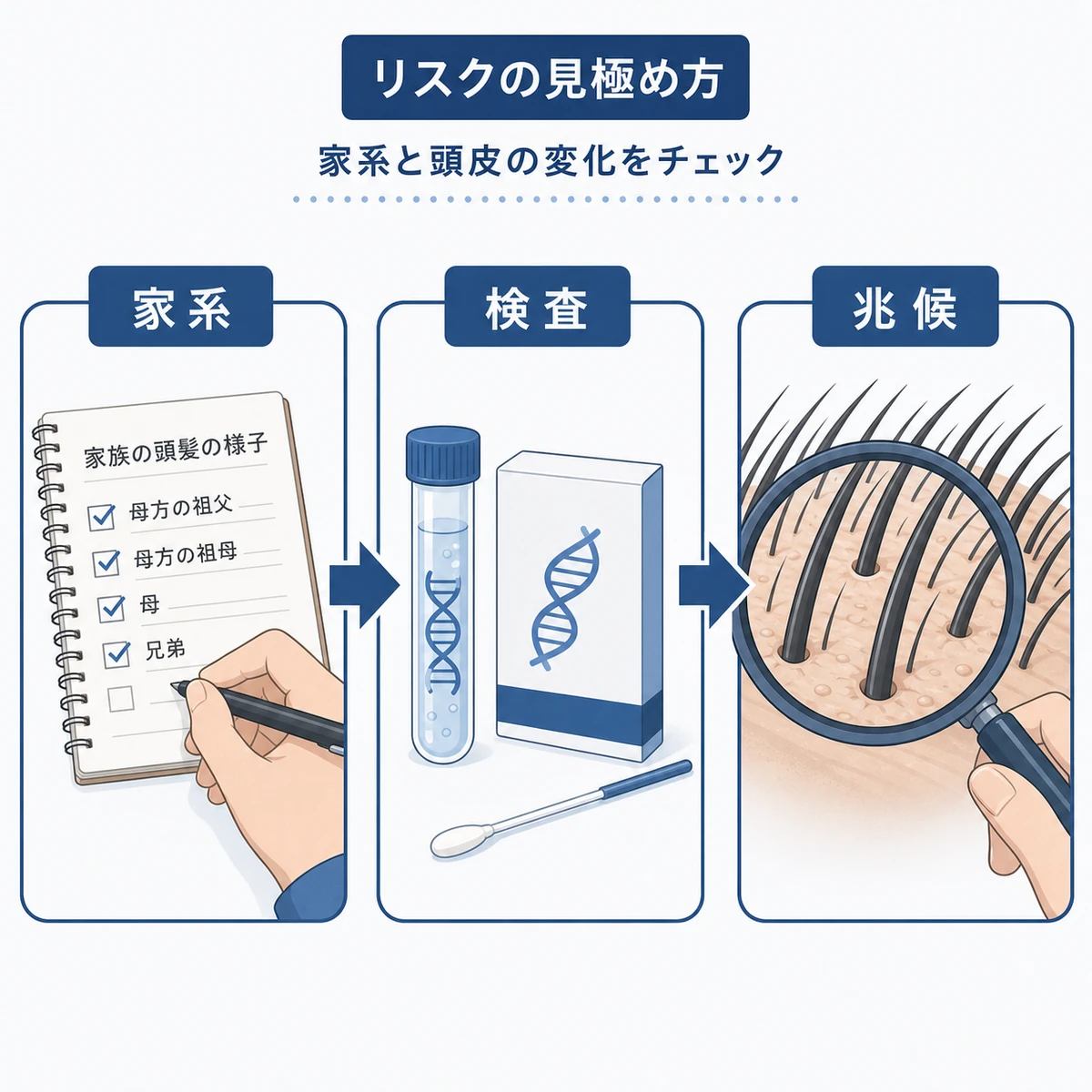 家系の確認と遺伝子検査とセルフチェックで薄毛リスクを把握する手順を表した医療イラスト