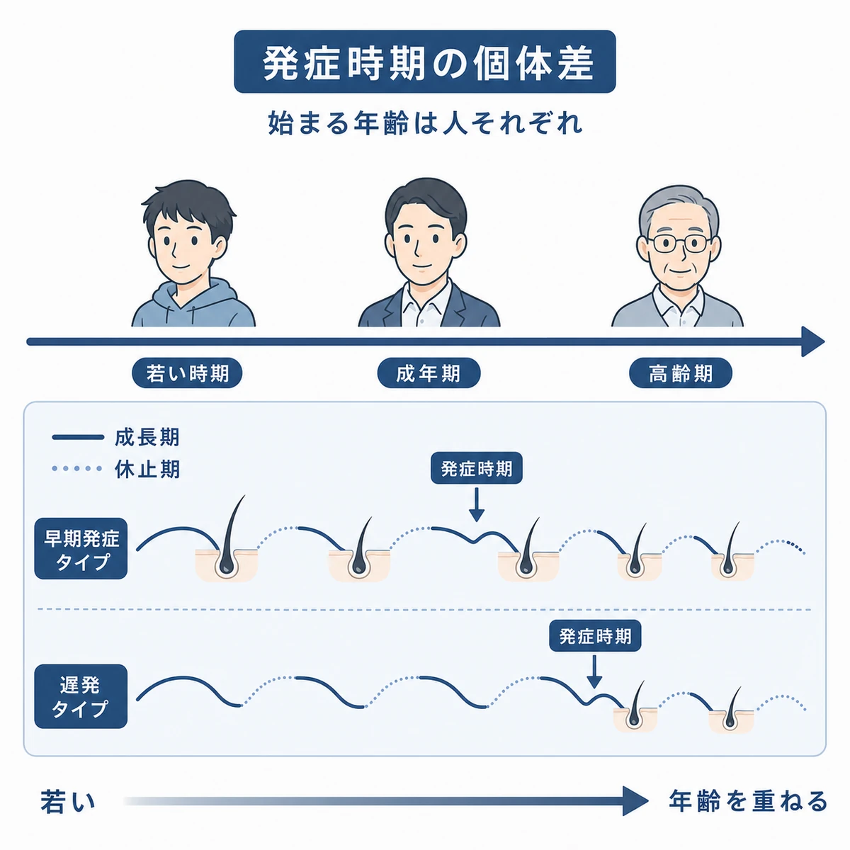 加齢とともにヘアサイクルが乱れ発症時期が分かれる流れを示した医療イラスト