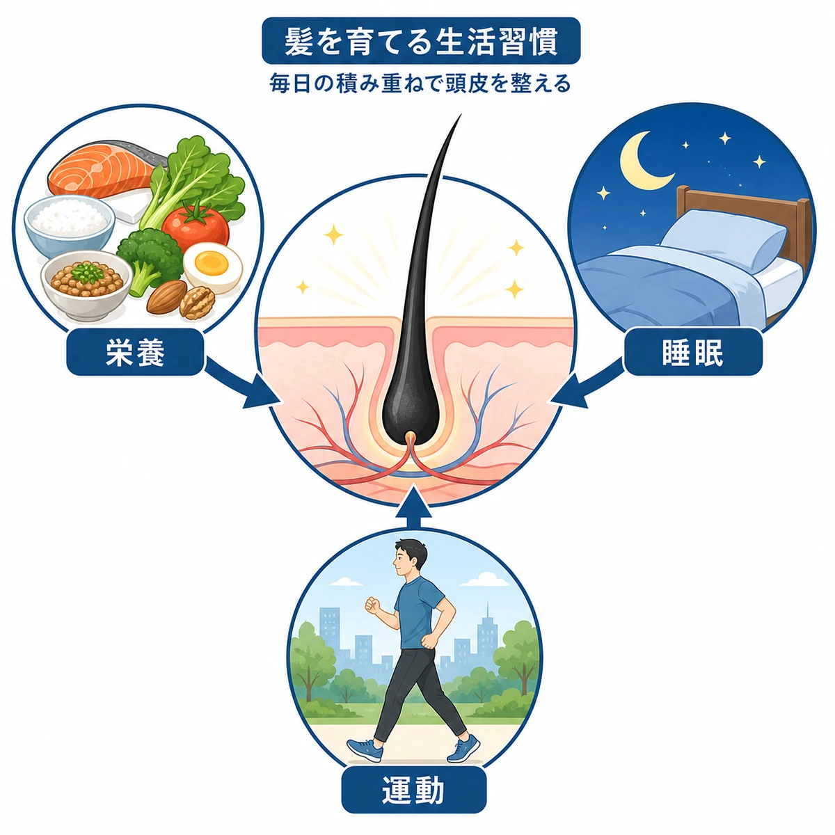 食事と睡眠と運動が頭皮環境を整える関係を表した医療イラスト