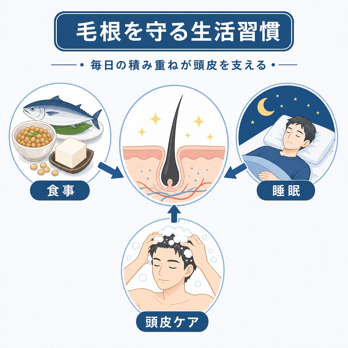 食事と睡眠と頭皮ケアで毛根の健康を支える生活習慣を表した医療イラスト