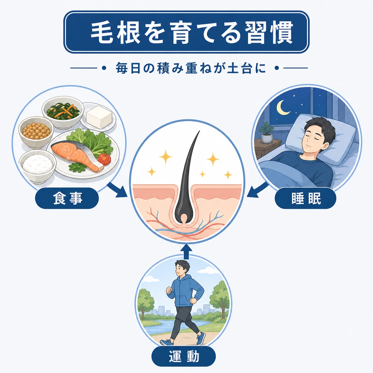 食事と睡眠と運動で毛根を支える生活習慣を表した医療イラスト