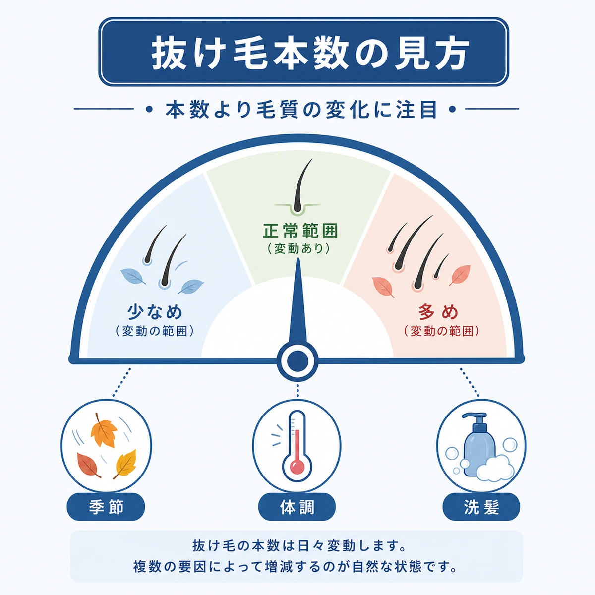 抜け毛の本数を左右する季節や体調や洗髪などの要因を示した医療イラスト