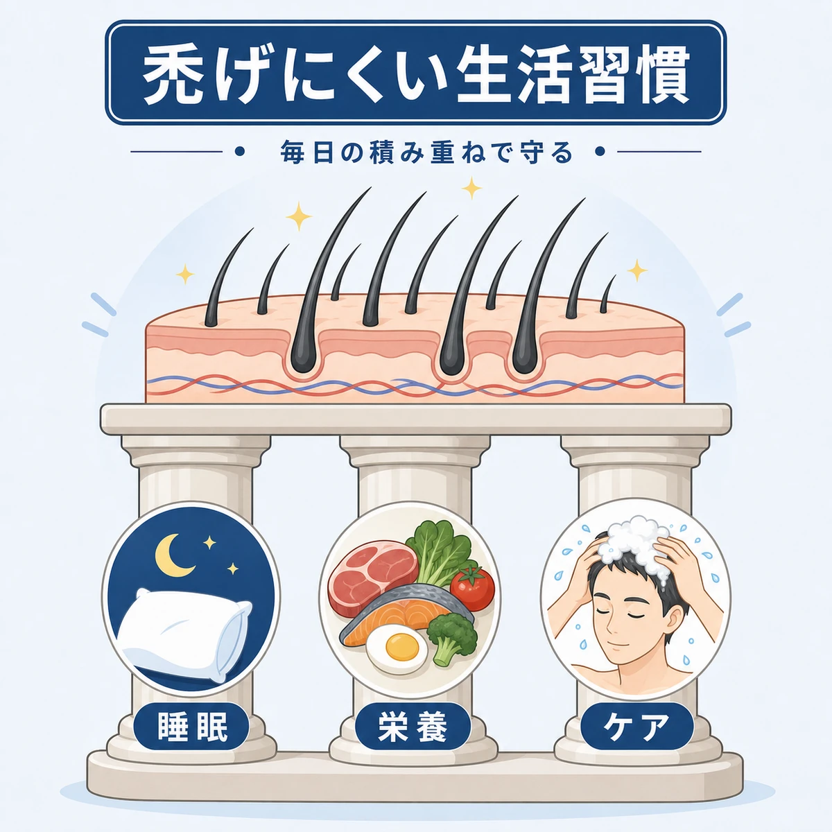睡眠と栄養と頭皮ケアで禿げにくい体質を支える生活習慣の医療イラスト
