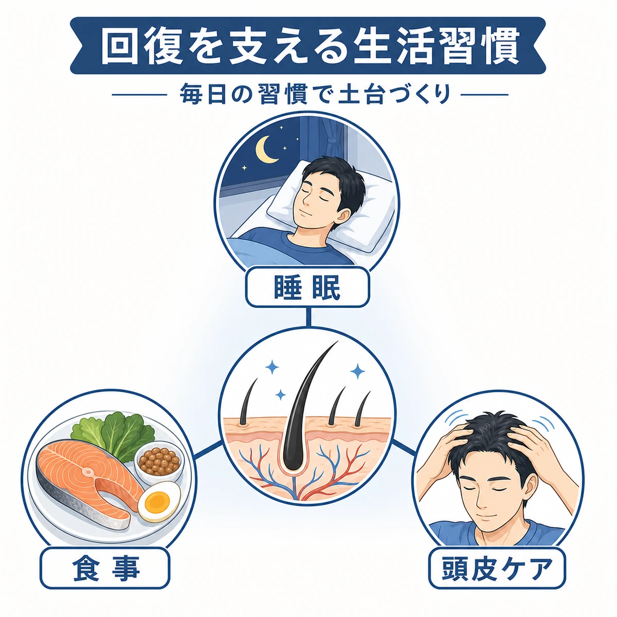 睡眠と食事と頭皮ケアが生え際回復の土台になる生活習慣を表した医療イラスト