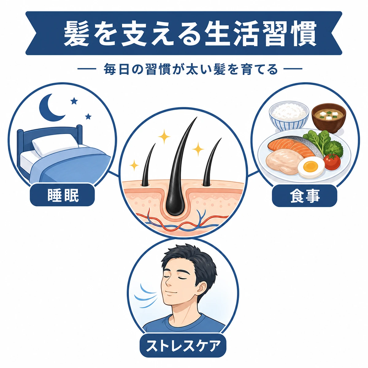 睡眠と食事とストレスケアが髪の太さを支える関係を表した医療イラスト